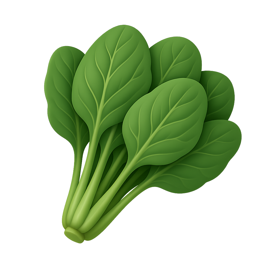 菠菜