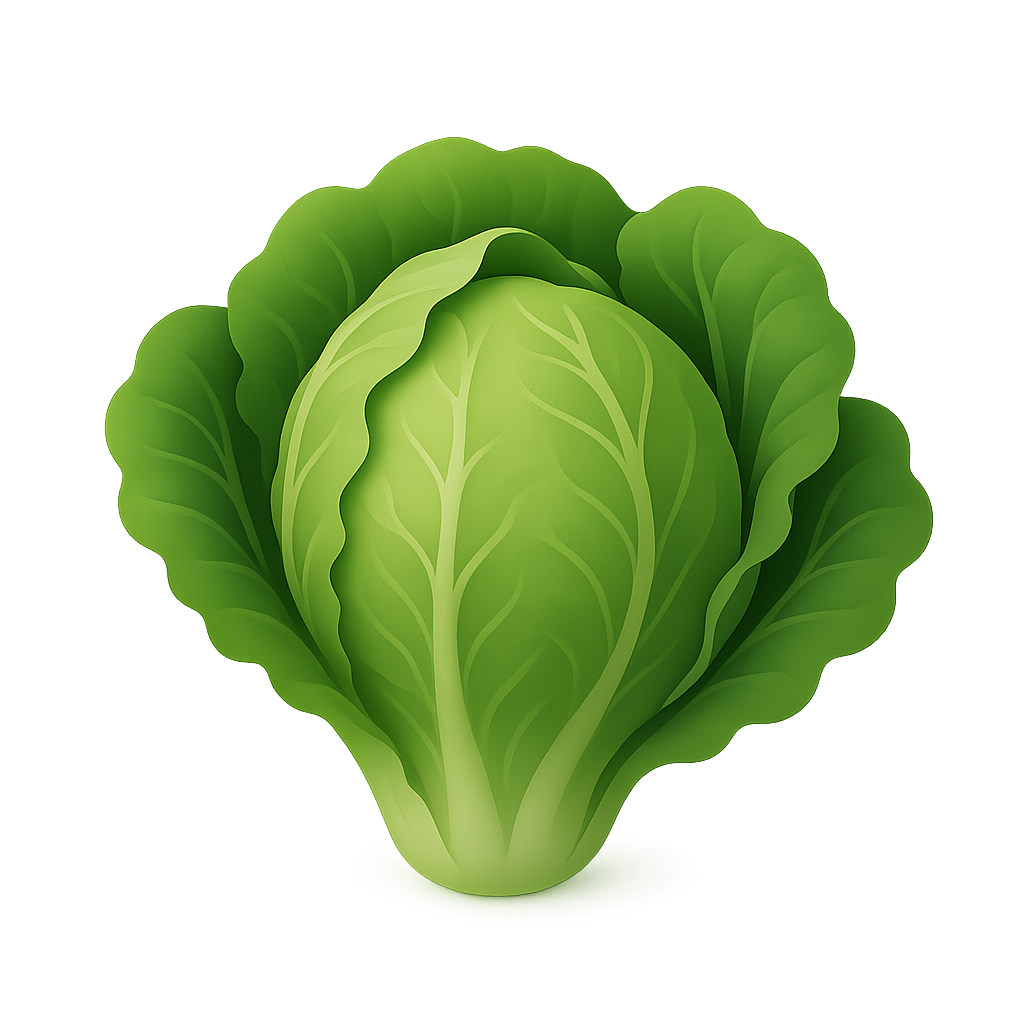 莴苣